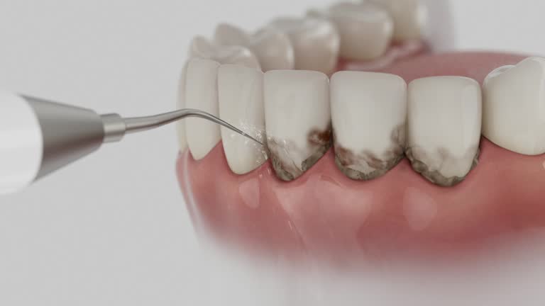 Reliable Dental contractor in Walnutport, PA by Dentist Open Now